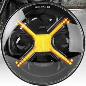 #29 – RIASDY Amber (DRL) 